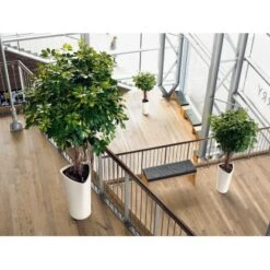 Lechuza Pflanzgefäß Delta Premium Ø 30 Cm X 56 Cm Weiß Hochglanz 17 Lechuza Pflanzgefäß Delta Premium Ø 30 Cm X 56 Cm Weiß Hochglanz -Familie Produkt Geschäft 4008789155009 4186 8