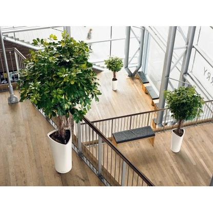 Lechuza Pflanzgefäß Delta Premium Ø 30 Cm X 56 Cm Weiß Hochglanz 10 Lechuza Pflanzgefäß Delta Premium Ø 30 Cm X 56 Cm Weiß Hochglanz – Bild 8