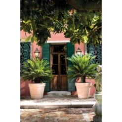 Deroma Pflanztopf Magno Ø 60 Cm White -Familie Produkt Geschäft 726232524137 3832 4